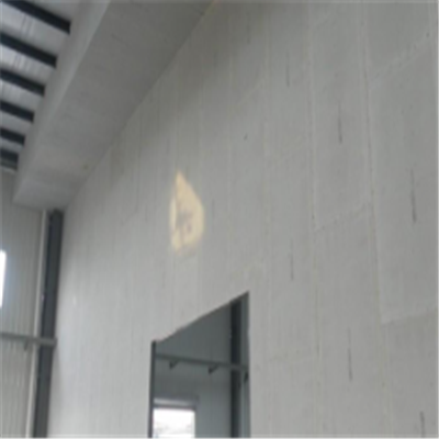 兴山宁波ALC板|EPS加气板隔墙与混凝土整浇联接的实验研讨